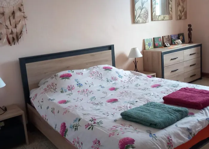 Appartement Le Vigan * 勒维冈